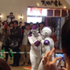 Illustration for article titled Frieza Senpai, Notice Me